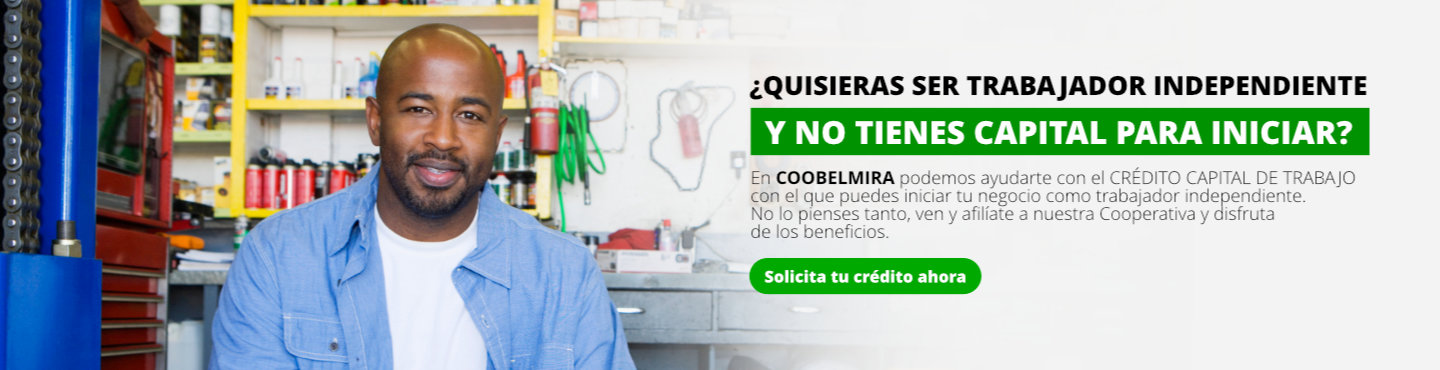 Trabajador independiente