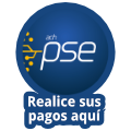 Pagos Online