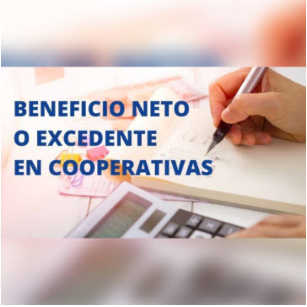 Cálculo del beneficio neto o excedente en entidades de naturaleza cooperativa