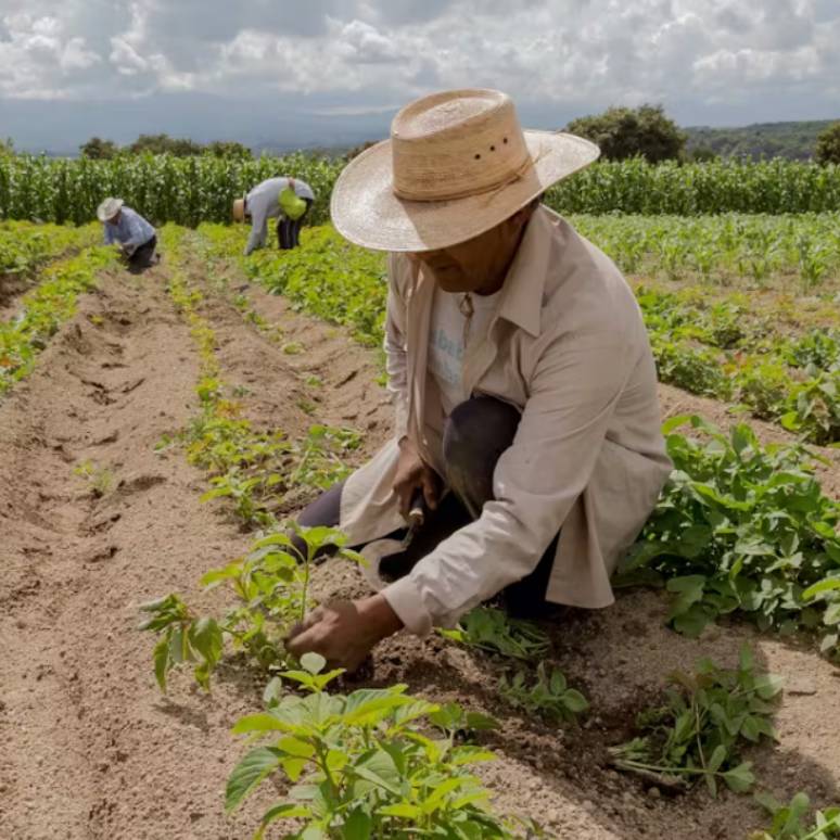 ¿Pueden ser las finanzas rentables y sostenibles?